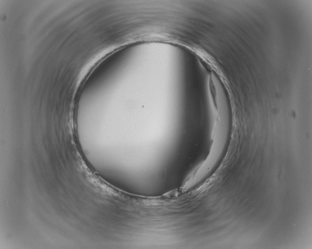 X0000053060904200508011911