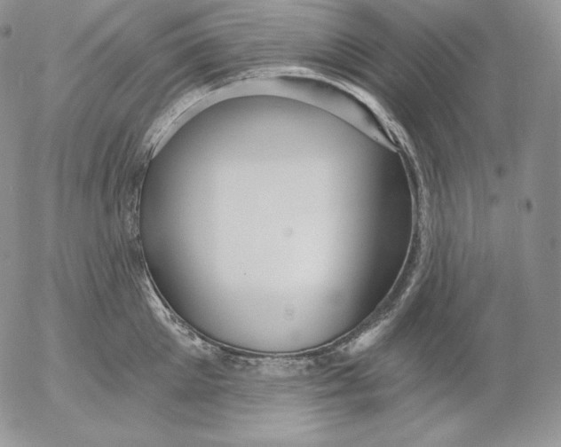 X0000053060905200508011911