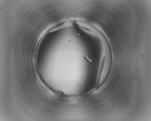 X0000053060906200508011911