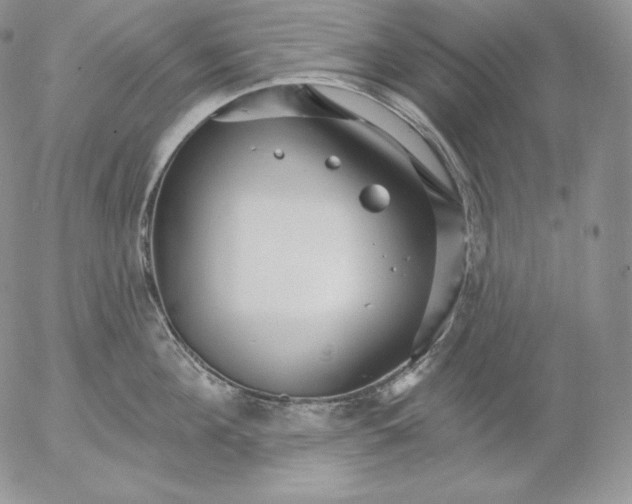 X0000053060908200508011911