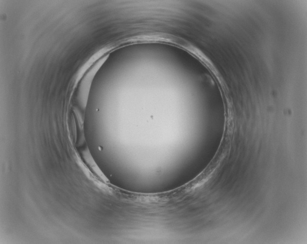 X0000053060909200508011911