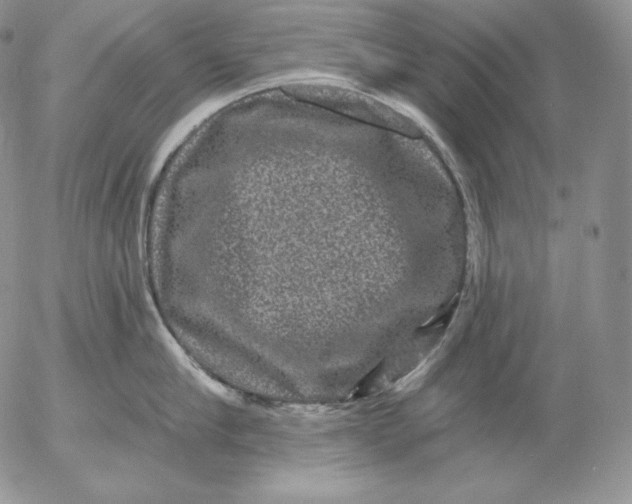 X0000053060910200508011911