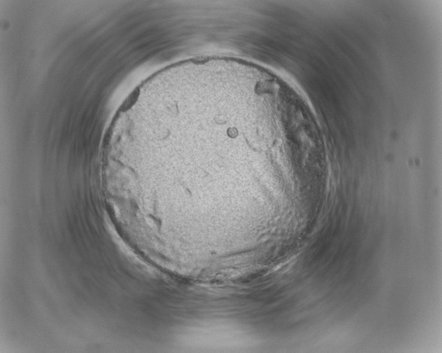 X0000053060911200508011911