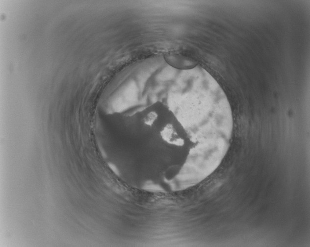 X0000053060913200508011910