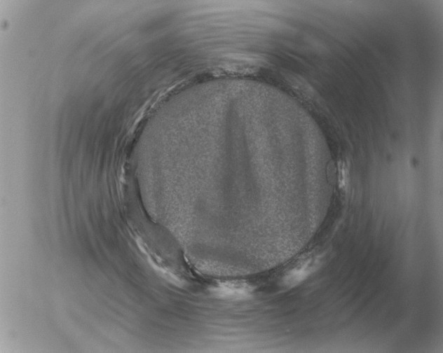 X0000053060915200508011910