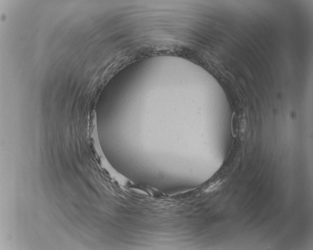 X0000053060916200508011910