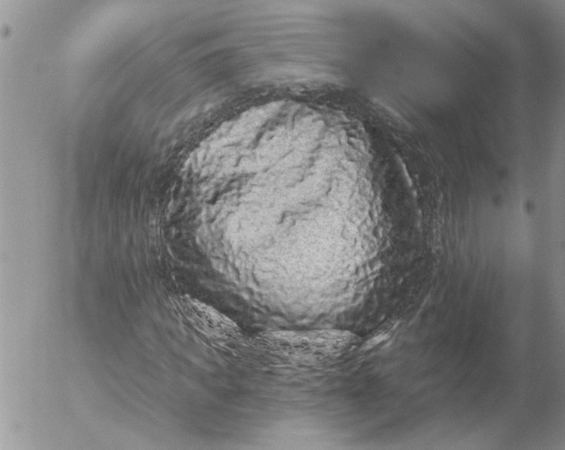 X0000053060917200508011910