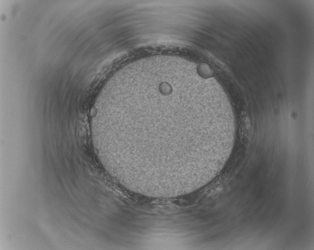 X0000053060918200508011910