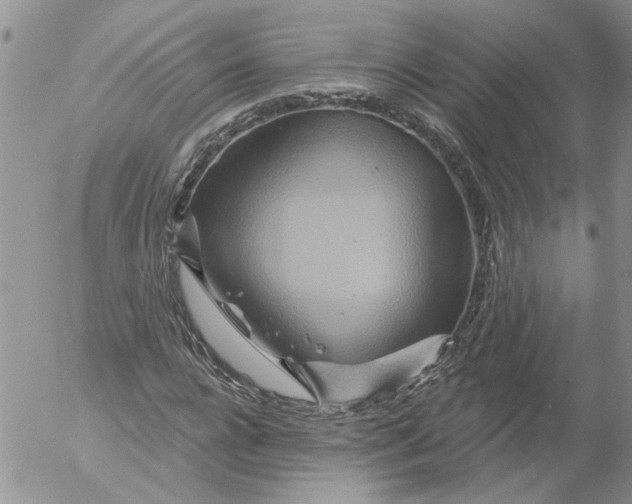 X0000053060920200508011910