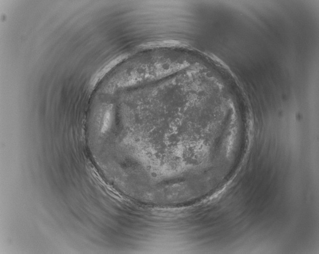 X0000053060921200508011910