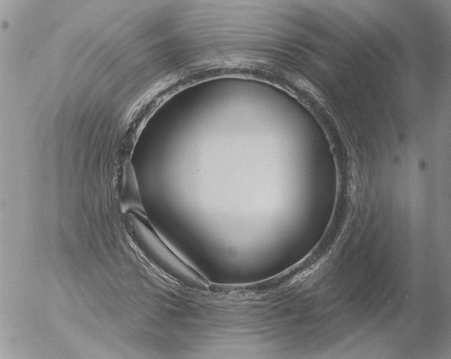 X0000053060922200508011910