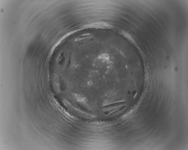 X0000053060923200508011910