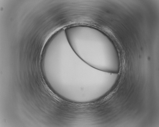 X0000053060924200508011910