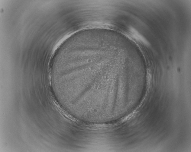 X0000053060925200508011910