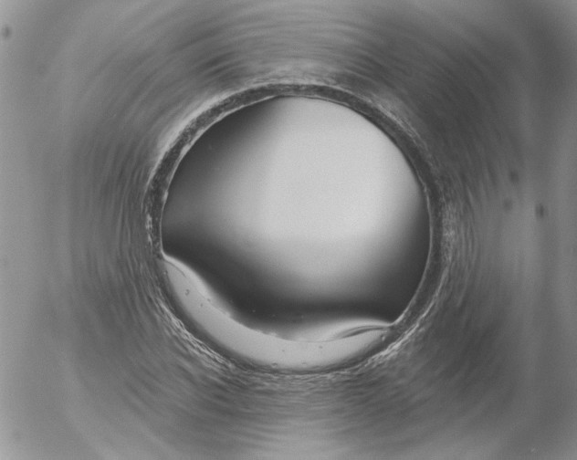 X0000053060926200508011910