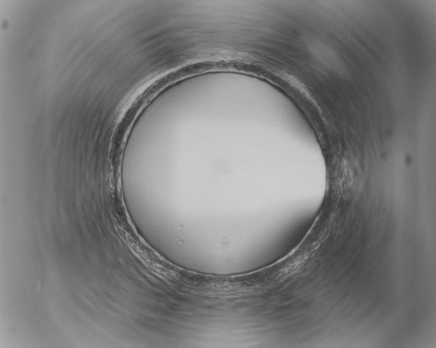 X0000053060927200508011910