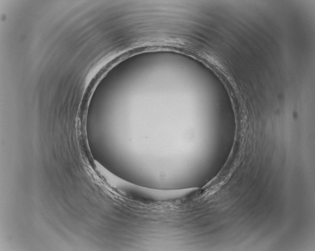 X0000053060928200508011910