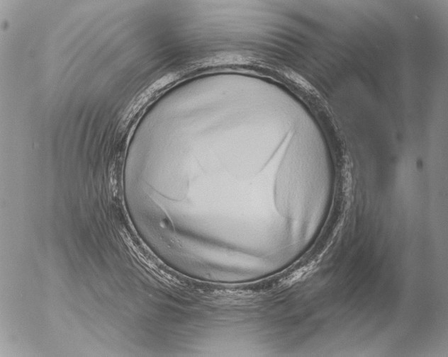 X0000053060929200508011910