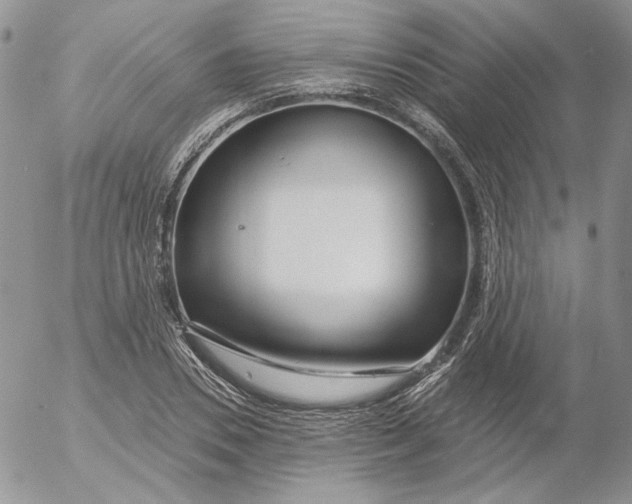 X0000053060930200508011910