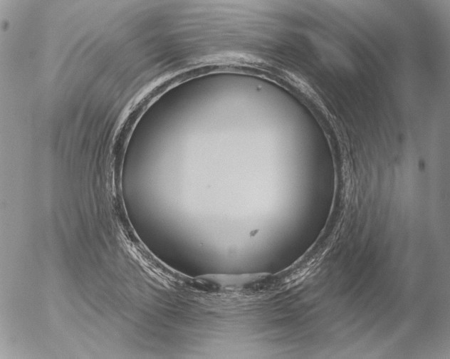 X0000053060931200508011910