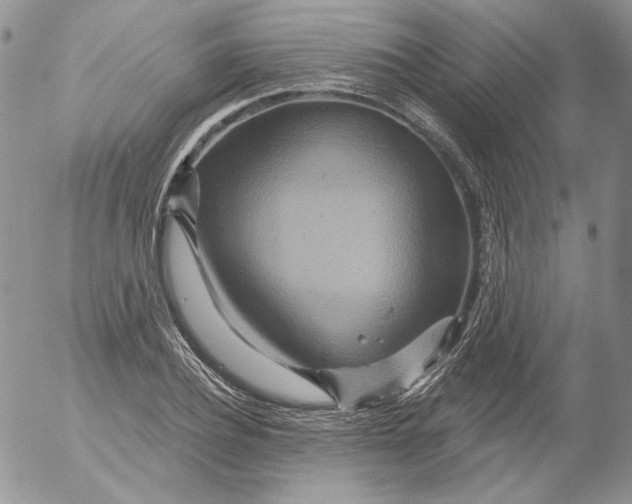 X0000053060932200508011910