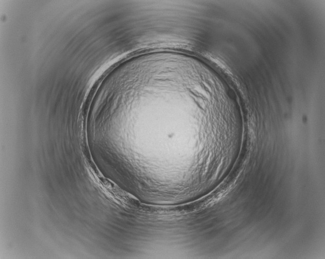 X0000053060933200508011910