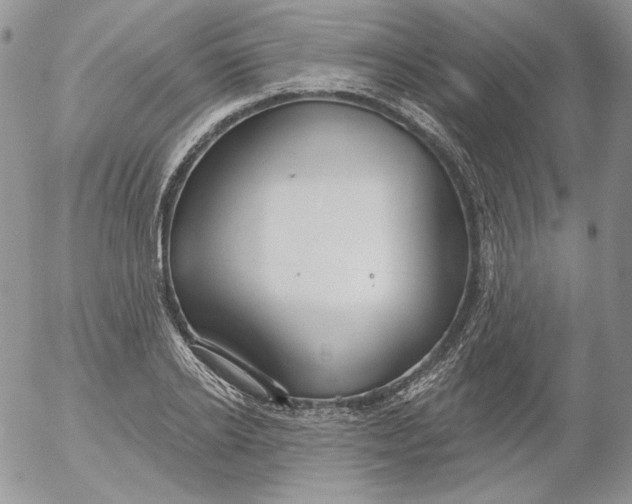 X0000053060934200508011910