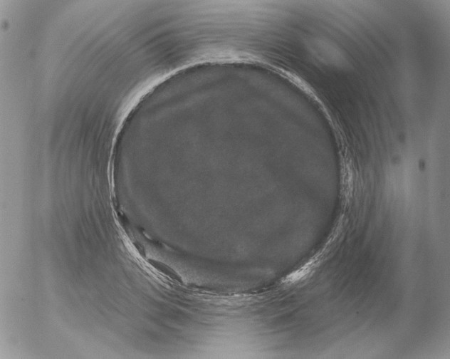 X0000053060935200508011910