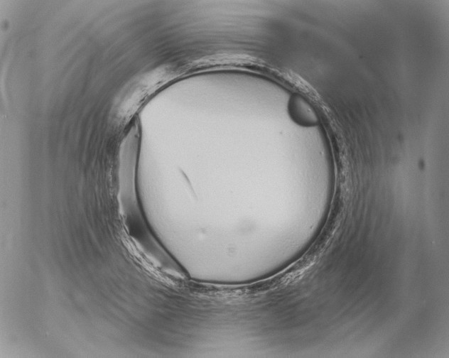 X0000053060937200508011910