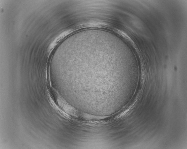 X0000053060938200508011910