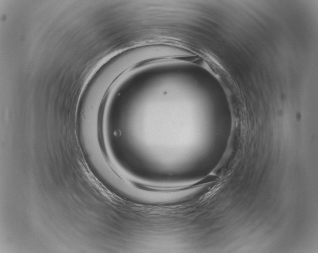 X0000053060940200508011910