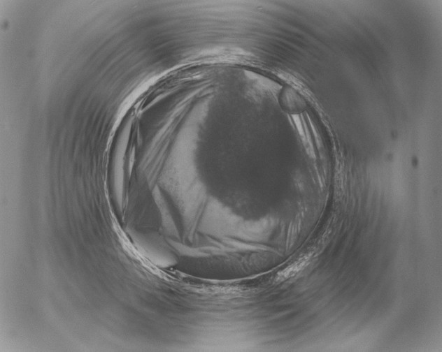 X0000053060941200508011910