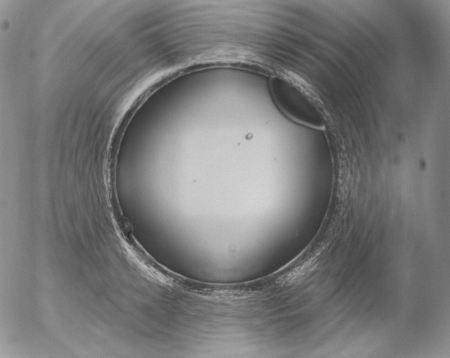 X0000053060942200508011910