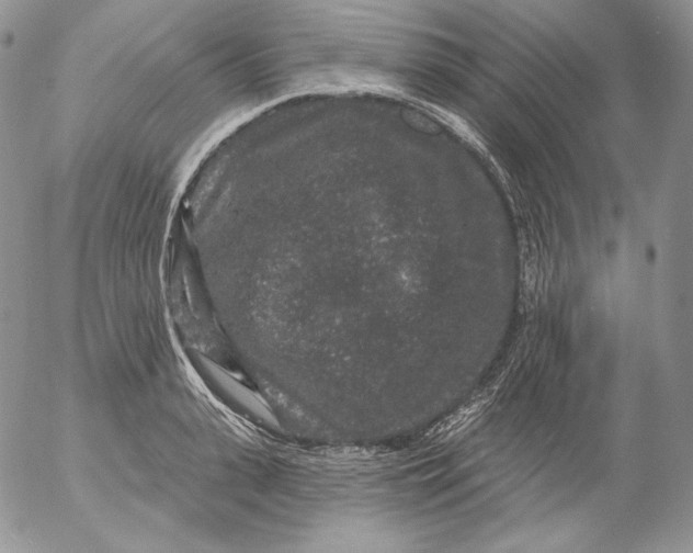 X0000053060943200508011910