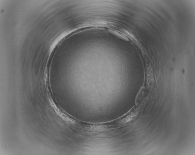 X0000053060944200508011910