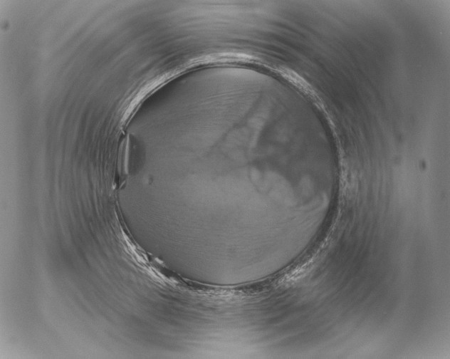 X0000053060945200508011910