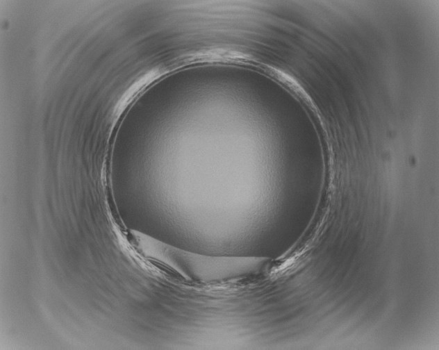 X0000053060946200508011910