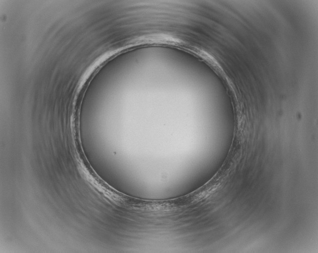 X0000053060947200508011910