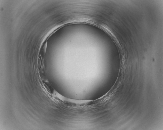 X0000053060948200508011910