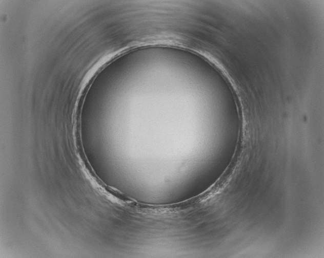 X0000053060949200508011910