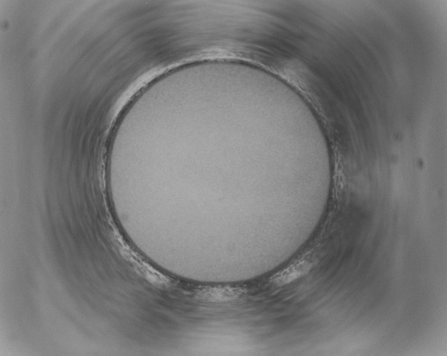 X0000053060950200508011910