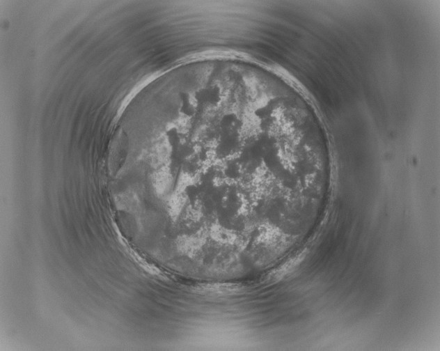 X0000053060953200508011910