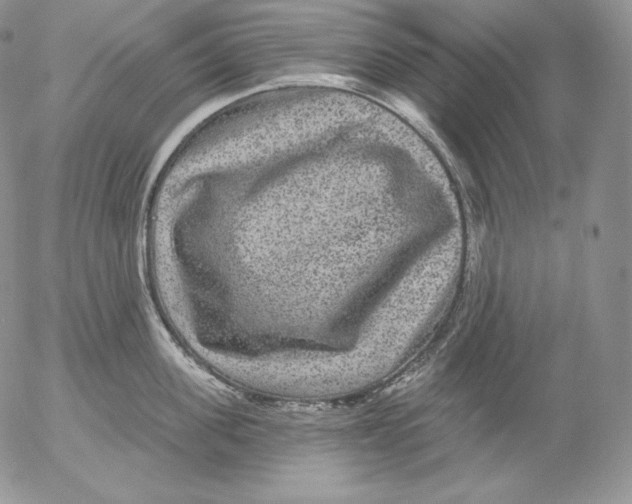 X0000053060955200508011910