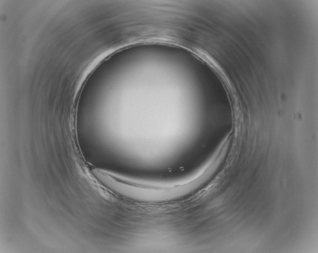 X0000053060956200508011910