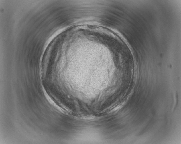 X0000053060957200508011910