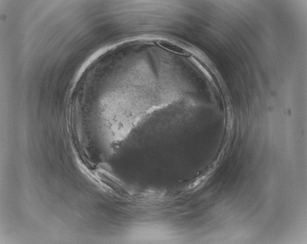 X0000053060958200508011910