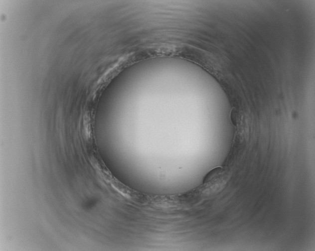 X0000053060962200508011910