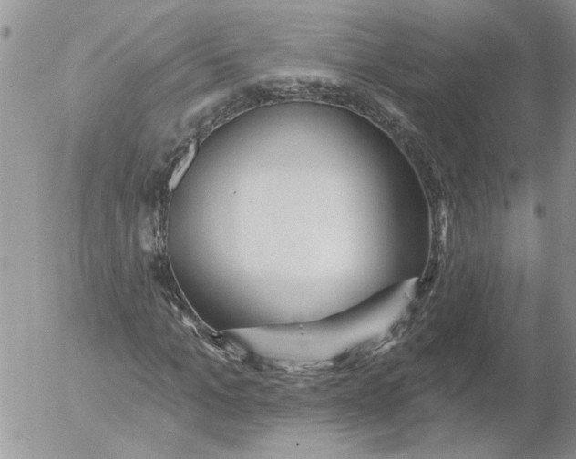 X0000053060965200508011910