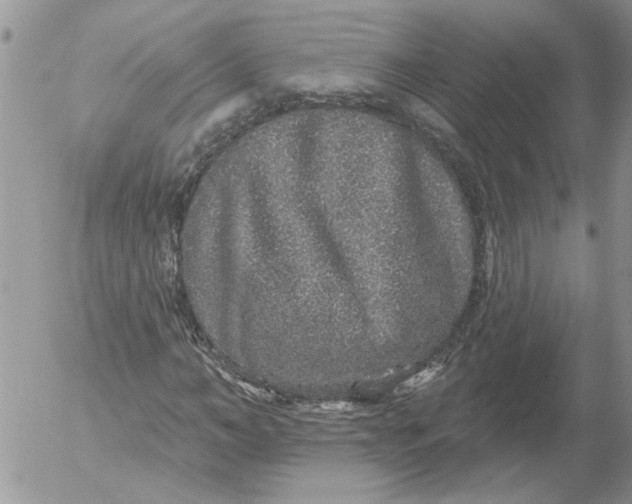 X0000053060966200508011910