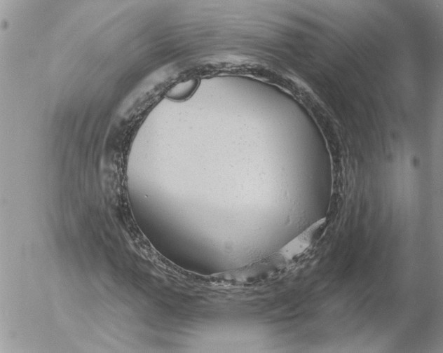 X0000053060967200508011910